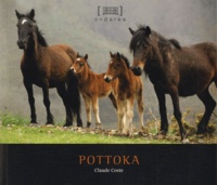 Claude Coste - Pottokak - Edition bilingue français-basque.