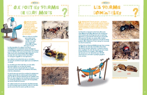 Les fourmis savent-elles nager ?. 60 questions pour tout connaître de cet insecte fascinant