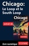 Claude Morneau - Chicago : le Loop et le South Loop.