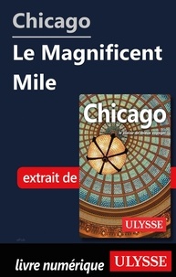 Claude Morneau - Chicago - Le Magnificent Mile.