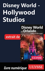 Disney World - Hollywood Studios