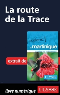 Claude Morneau - Martinique - La route de la Trace.