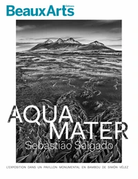 Aqua mater