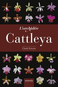 Claude Surand - L'orchidée Cattleya.