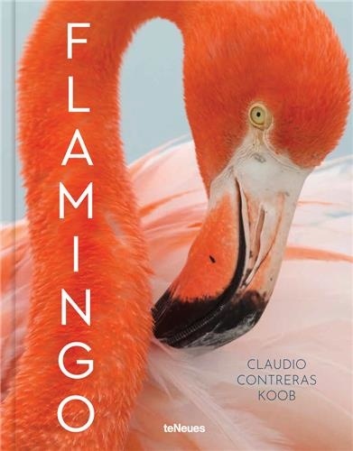 Claudio Contreras-Koob - Flamingo - Edition anglais, allemand, espagnol.