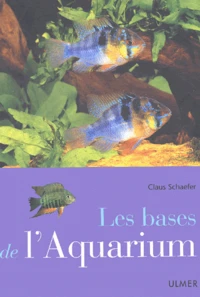 Les Bases De L'Aquarium