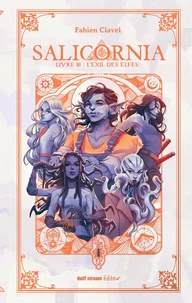 L'exil des elfes