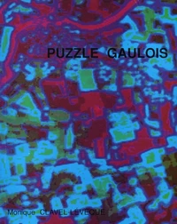 Puzzle gaulois, les Gaules en mémoire