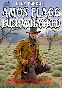 Amos Flagg Bushwhacked—#4 in the Texas Lawman Series