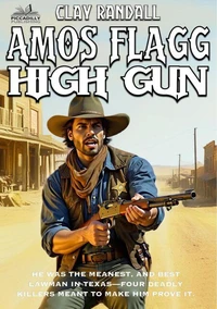 Amos Flagg - High Gun: #2 in the Texas Lawman Series