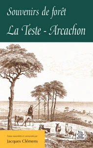 Souvenirs de forêt : La Teste-Arcachon
