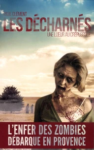 Une lueur au crépuscule