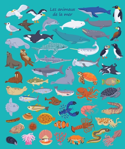 Les animaux de la mer