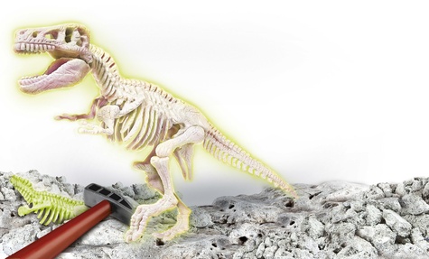 dvf archéo-ludic t-rex