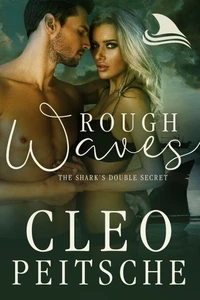 Rough Waves