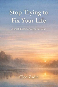 Stop Trying to Fix Your Life: A small book for a gentler year