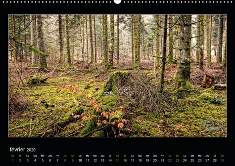 CALVENDO Nature  L'Auvergne est belle(Premium, hochwertiger DIN A2 Wandkalender 2020, Kunstdruck in Hochglanz). Voyagez en Auvergne à travers les saisons (Calendrier mensuel, 14 Pages )