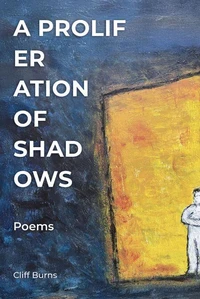 A Proliferation of Shadows