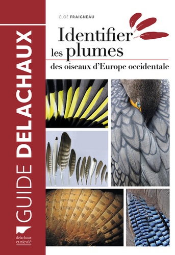Cloé Fraigneau - Identifier les plumes des oiseaux d'Europe occidentale.