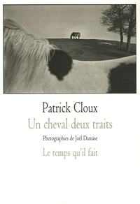 Un cheval deux traits