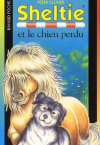 Sheltie et le chien perdu