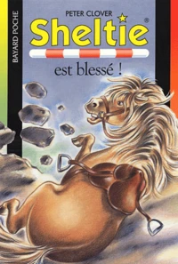 Sheltie est blessé !