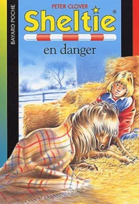 Sheltie en danger