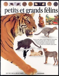 Les petits et grands félins