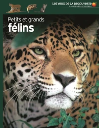Petits et grands félins