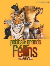 Petits et grands félins