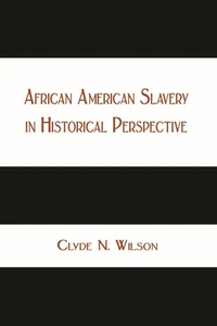 African American Slavery in Historical Perspective