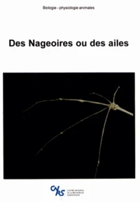 Des nageoires ou des ailes