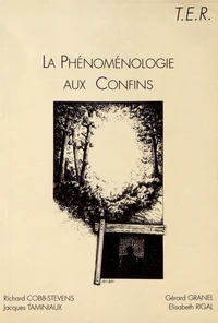 La phénoménologie aux confins