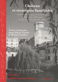 Château et stratégies familiales