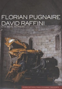 Florian Pugnaire, David Raffini