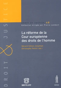 La réforme de la Cour européenne des droits de l'homme