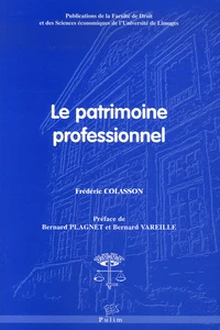 Le patrimoine professionnel