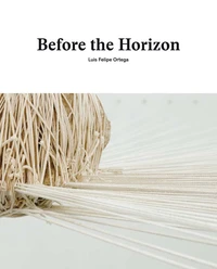Before the horizon