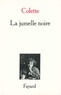  Colette - La jumelle noire - Critique dramatique.