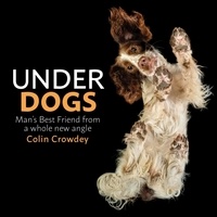 Colin Crowdey - Underdogs.