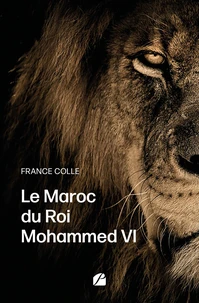 Le Maroc du Roi Mohammed VI