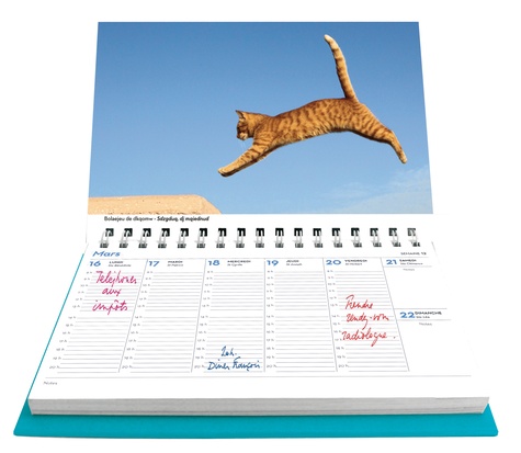 Agenda-calendrier Jeux de chats 2015