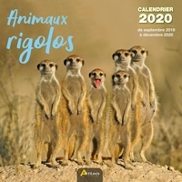  Collectif - Animaux rigolos - Calendrier 2020 - de septembre 2019 à décembre 2020.