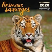  Collectif - Animaux sauvages - Calendrier 2020 - de septembre 2019 à décembre 2020.