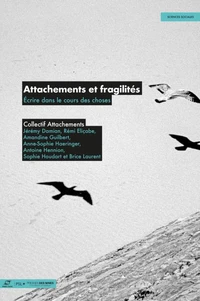 Attachements et fragilités
