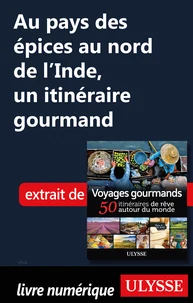 Au pays des épices au nord de l'Inde - Un itinéraire gourmand