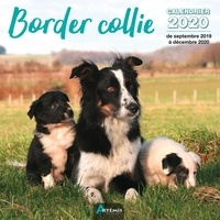  Collectif - Border collie - Calendrier 2020 - de septembre 2019 à décembre 2020.