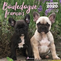  Collectif - Bouledogue francais - Calendrier 2020 - de septembre 2019 à décembre 2020.