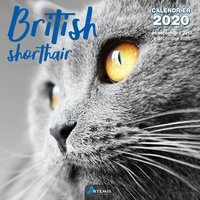  Collectif - British shortair - Calendrier 2020 - de septembre 2019 à décembre 2020.