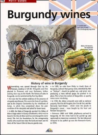 Burgundy Wines